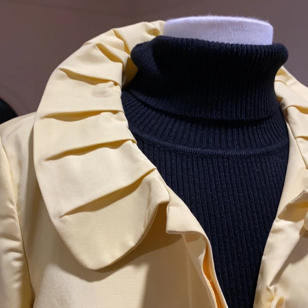 Yellow jacket 🐝 - Picture 2 of 8